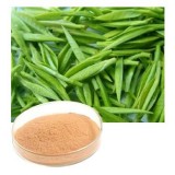 Tea Polyphenols (Green Tea Extract)