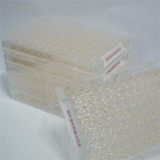 Microbial ID/AST Kits For Resi