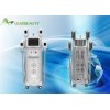 2000W Vertical Cryolipolysis Slimming Machine with Plug and play Connector