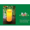 Bright Solar Desk Light , Decorative Solar Lights Battery Operated