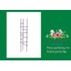 Triangle Grow Through Plant Supports For Tomato 11" W X 47" H Overall
