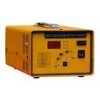 Electric Forklift Battery Charger 30A One Year Warranty CE ISO9001 Certification