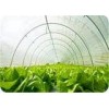 200 Micron White Uv Resistant Plastic Rolls Low Density For Protecting Crops