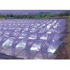 Length Customized Polycarbonate Greenhouse Sheets Blow Molding Fruit Tree Cover