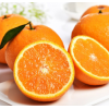 chinese fresh navel orange