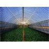 1-11m LDPE Plastic Greenhouse Film For Vegetables And Fruits Planting