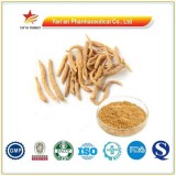 GMP Factory Supply Radix Pseud