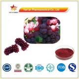 Good Quality Red Grape Peel Pi