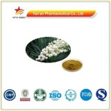 Natural Yucca Extract/Sarsapon