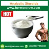 99% Steroid Hormone Testosterone Base