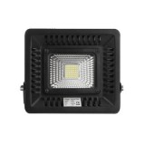 Driverless 30W 50W 100W LED Fl