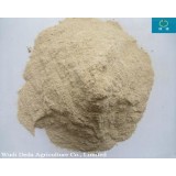 Protein Powder Rice Protein Me