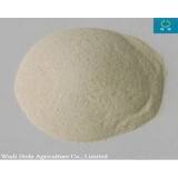 Feed Grade Protein Powder Whea