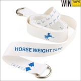2.5m Logo Design Custom Horse