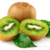 Green Hyward Kiwi Fruit