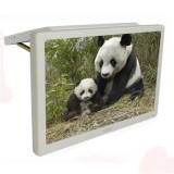 18.5/19inch Roof Mount Bus/car