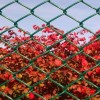 chain link fence gates
