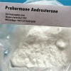 Prohormone Powder Androsterone