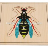 Teaching Aids Wasp Puzzle