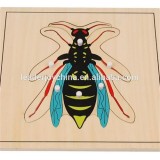 Teaching Aids Wasp Puzzle