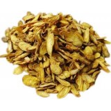 Baicalein Powder (Scutellaria