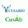 SUSD4 Antibody,FITC conjugated