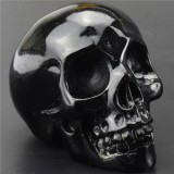 Decor Skull, 3 Inch Natural Ca