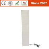 Traditional Off White Color Re