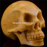 Hot Sale 2/3 Inch Fashion Yell