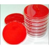 General Prepared Media Plates