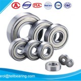 Open 6200 Series Ball Bearings