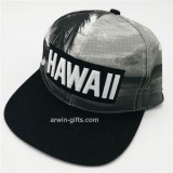Acrylic Polyester Flat Brim Ca