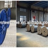 Hot Dip Galvanized Steel Wire