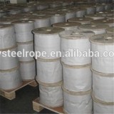 Electrical Galvanized Steel Wi