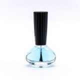 Wholesale 14ml Empty Nail Poli