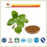 Pure Nature Common Origanum Ex