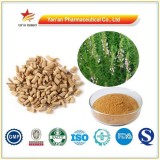 Good Quality Hyssop Extract /H