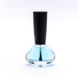 Wholesale 14ml Empty Nail Poli