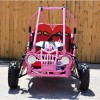 MINI 50 gas off road gas two seat childrens baby buggy