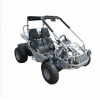 EPA/EEC road legal 300cc 2 seat automatic dune buggy