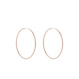 Large Rose Gold Medium Hoop Ea
