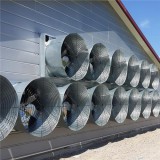 Prefab Poultry Sheds Commercia