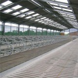 Modern Cow Barns Plans For Far