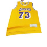 Los Angeles Lakers Dennis Rodm