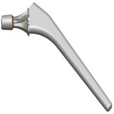 Medical Titanium Bone Nail |in