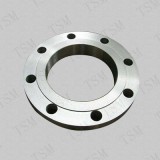 Titanium Nickel Forged Raised