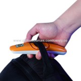 No Need Webbing Belt Multi-col