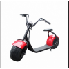 Big City Electric Scooter Manufacture