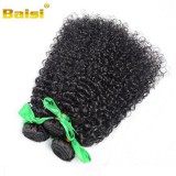 Brazilian Virgin Curly Hair Bu
