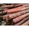 RED SANDLEWOOD FROM INDIA